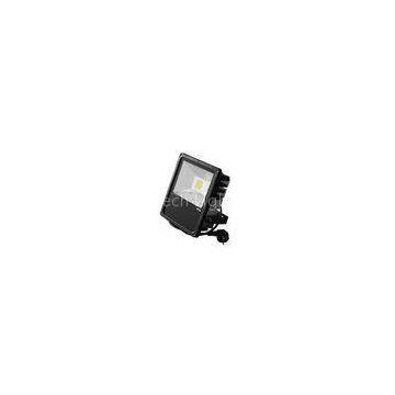 OEM Customized IP65 COB High Power LED Flood Light for Indoor or Outdoor lighting