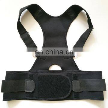 Back support belt for treating the back and lumbar pain