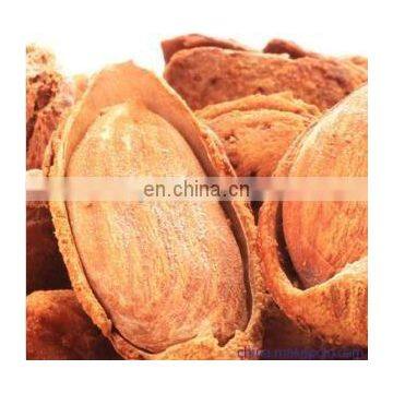 Almond Nut Sheller Shelling Machine For Sale photo-7