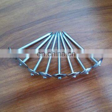 Steel Electric Galvanized Umbrella Head Roofing Nail