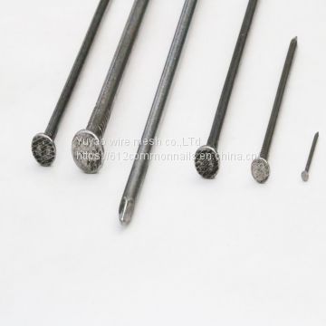 2.5inch polishing common nails wholesale price