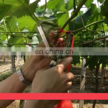 skyagri plant fixing machine vine tapetool for tomato cucumber grape capsicum