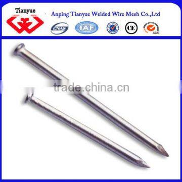 common nail iron nail factory