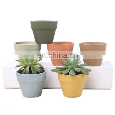 Indoor Succulent Mini Ceramic Plant Pots