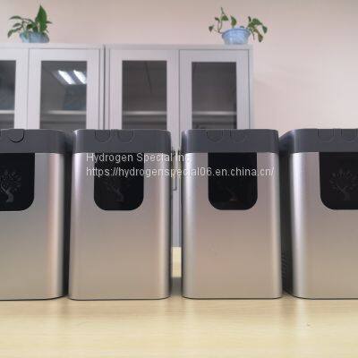 Sliver Color Hydrogen & Oxygen Inhaler 113