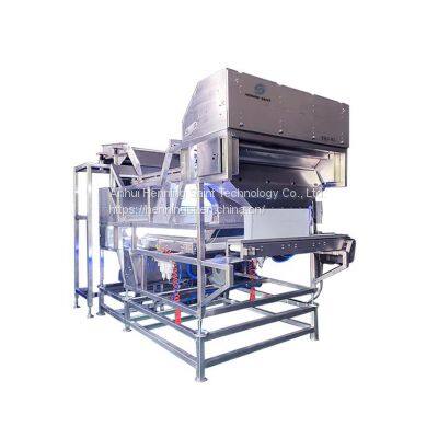Fruit and Vegetable Color Sorter