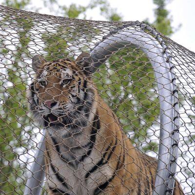 Zoo-specific Ecological Mesh/Tiger Enclosure Mesh/hand-woven Stainless Steel Rope Mesh photo-3