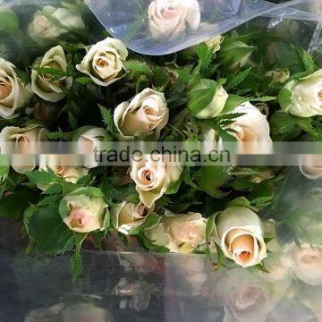 New OEM Fresh Rose Flower photo-6