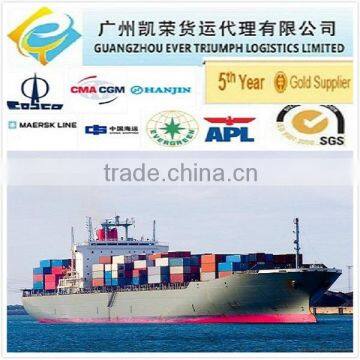 Sea Container DDP/DDU Shipping from China to Antwerp Belgium