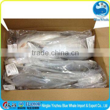 Quality milkfish Origin: China mainland taste latitude 30 degrees