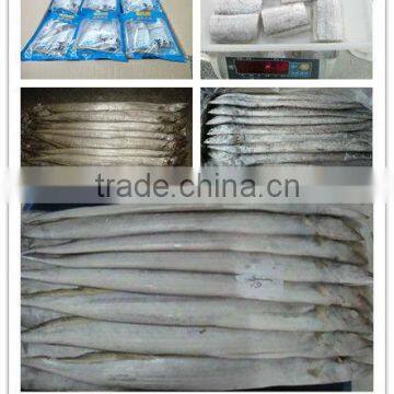 Frozen ribbonfish