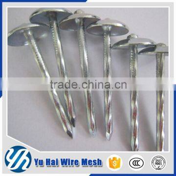 Eco-friendly  supplier 1 1/4" coil roofing nail                        
                                                                                Supplier's Choice