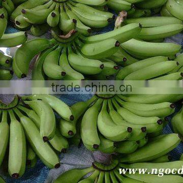 BEST PRICE FRESH CAVENDISH BANANA1