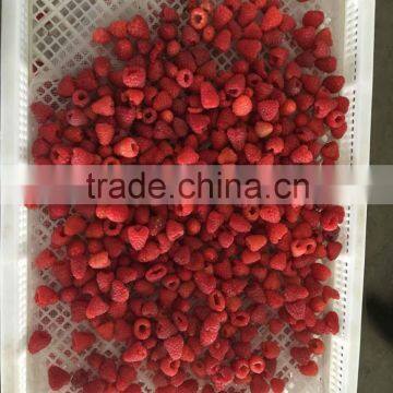 Supply High Quality IQF Frozen raspberry whole