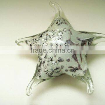 Glass Starfish photo-6