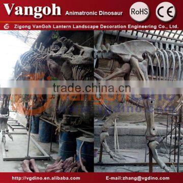 Chines dragon fiberglass dinosaur skeleton