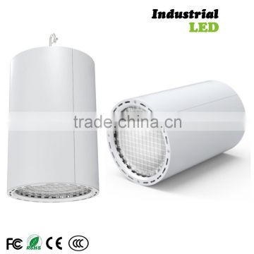 LED white housing ceiling down light