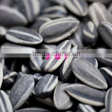 sunflower oil seeds kernel