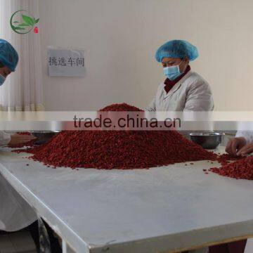 Dried Goji Berry Organic Goji Berries photo-6