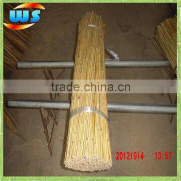 Highly resistant to worms agriculture bamboo cane