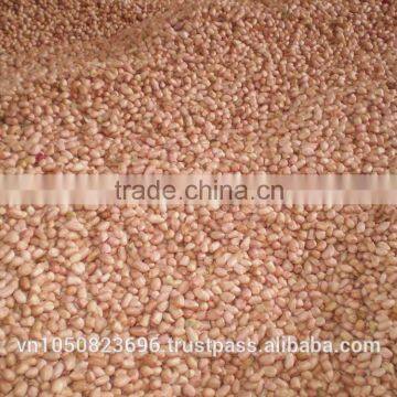 VIETNAM PEANUT HIGH QUALITY/ Vilaconic.export15(@)gmail.com photo-2