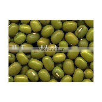 Green Mung bean beans/09 crop