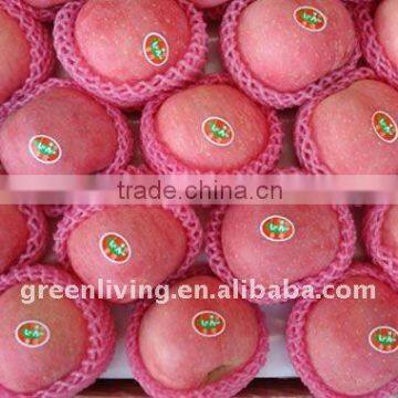 Fuji fresh Apple in China with good quality