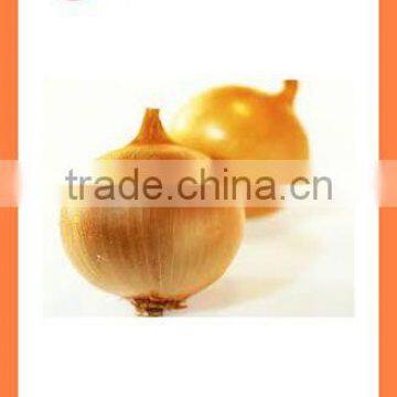 BUlk 2016 New Crop Fresh Yellow Onion photo-4