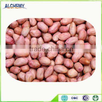 the largest supplier of peanuts kernel and best quality peanuts kernel