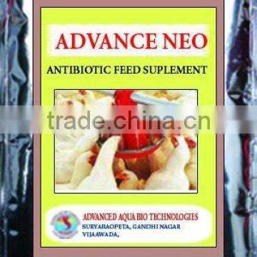 Antibiotic Feed Supplements