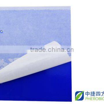 blue stick card for trapping insect (with pheromone coated)