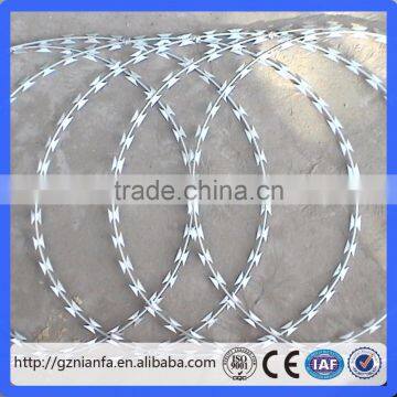 45/50/70/100cm coil galvanized concertina razor wire(Guangzhou Factory)