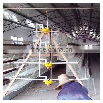 Chicken Cage Poultry Farm photo-2