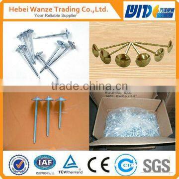 High quality ring shank common nail/common nail bolt/roofing nail