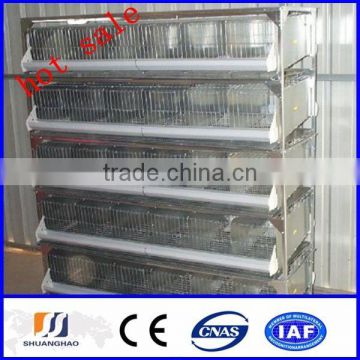 2014 new!!! cheap quail cage/Trapezoid Quail Cage (manufactory)