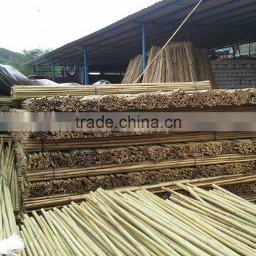 Bamboo Stake Poles for Orchard Plant Tree Supporting photo-2