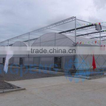 Plastic Film Greenhouse For Agriculture Use photo-3