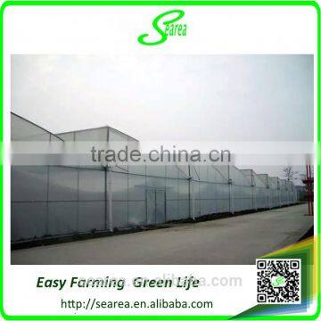 Poly Tunnel Green House photo-2