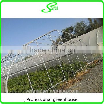 Easy assembled commercial agricultural tunnel greenhouse