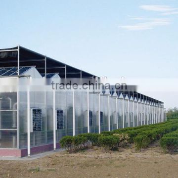 Galvanized steel structure pc sheet cover used commercial greenhouses