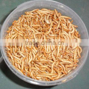 Vacuum Freeze Dried Mealworm Pet Bird Food photo-3