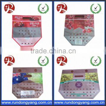 Fruit Protection Packaging Bag photo-4