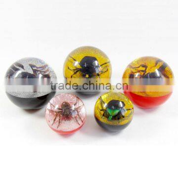 Custom dome transparent colourful acrylic paperweight