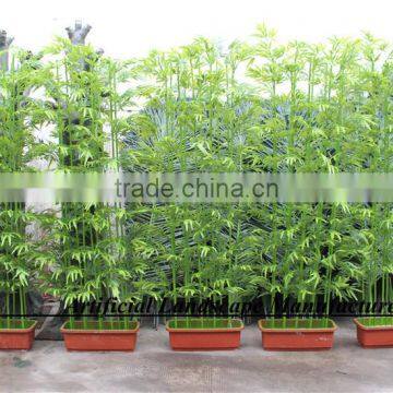 LXY160405 Green Bamboo,High Quality Artificial Bamboo Fencing