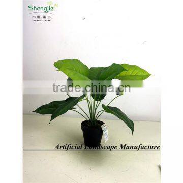 SAS201602 Artificial Foliage Plant Bonsai,Plastic Wholesale Bonsai photo-3