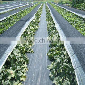 Anti uv Breathable Film Weed Control Mats photo-3