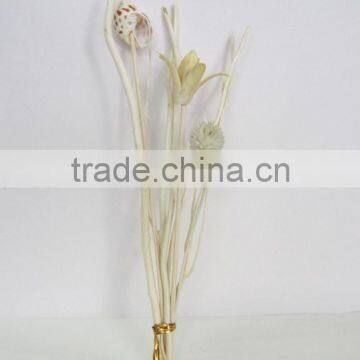 Wholesale Rattan Reeds Stick Bundle/ Curl Straight Reed Stick