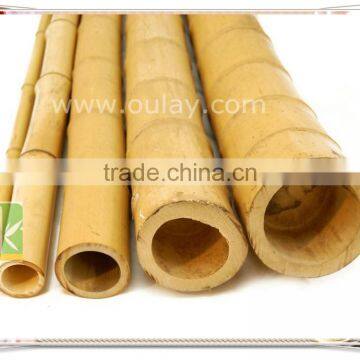 Backyard Scape in Bamboo Cane ,bamboo Poles Wholesale