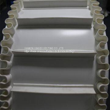 Customized Global Sidewall Conveyor Belt Line Glue With Cleats PB-W30 photo-4