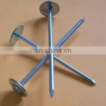 Galvanized umbrella head roofing nails